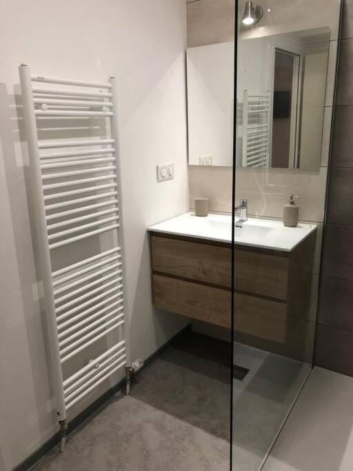 Appartement Moderne & Lumineux 40M2 Centre Luxeuil Exterior foto